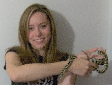 Jungle Carpet Python