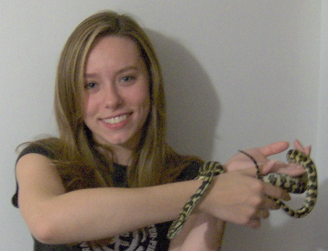 Jungle Carpet Python