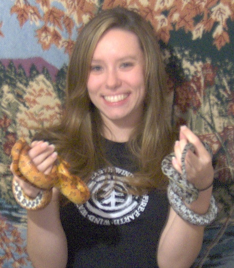 Corn Snakes