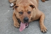 Lucy test pic