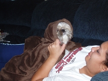 My Little EWOK