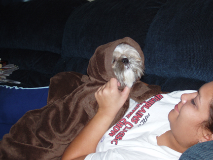 My Little EWOK