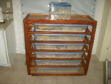 My Homemade Pine Snake Rack