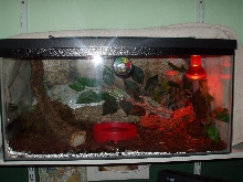 Lumpys Home :D