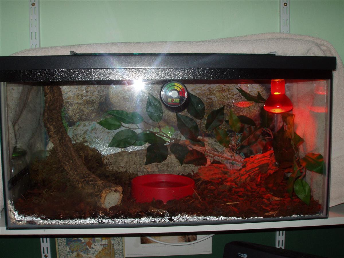 Lumpys Home :D