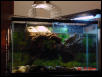 tank