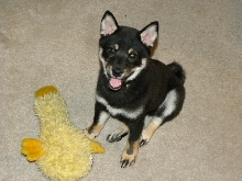 Me and Duck!