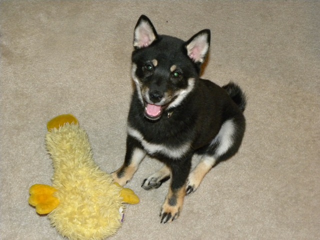 Me and Duck!