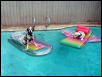 dog days of summer
