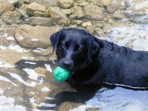 play with me!