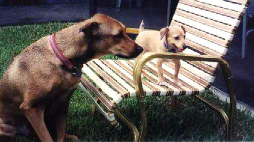 Hey, that's MY chair!