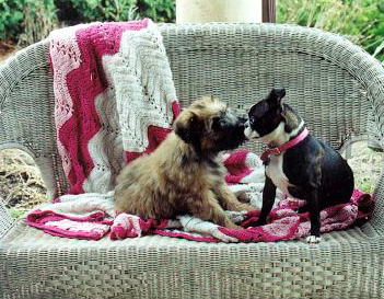 puppy love?
