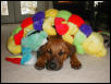 attack of the giant caterpillar