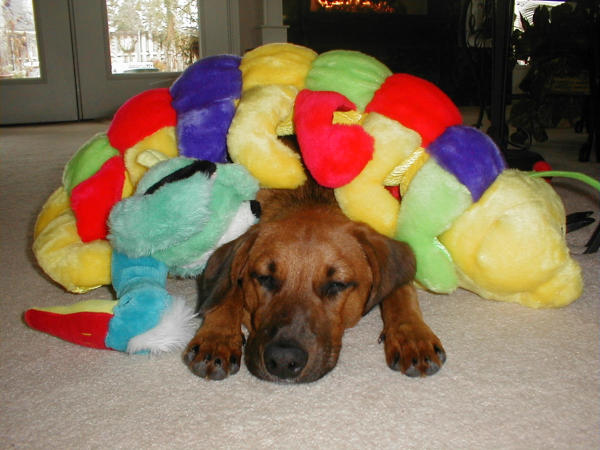 attack of the giant caterpillar