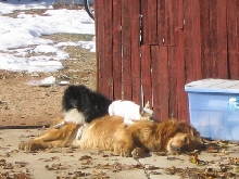 one way to stay warm on a cold day