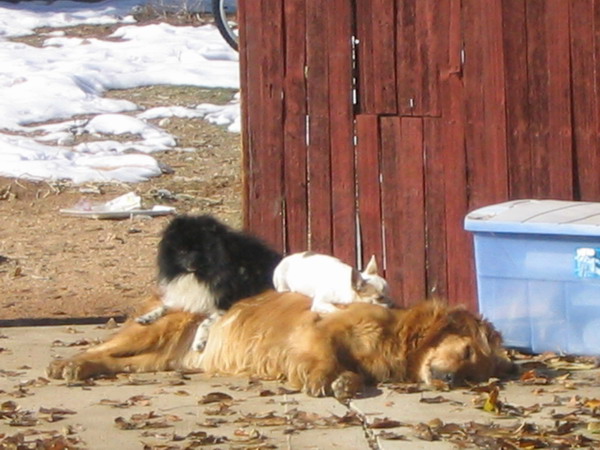 one way to stay warm on a cold day