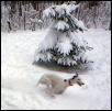 winter fun