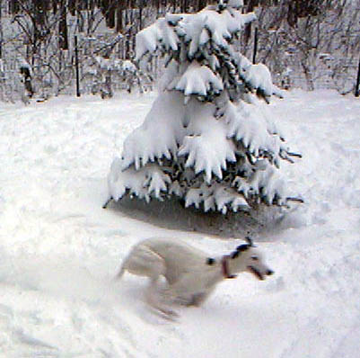 winter fun