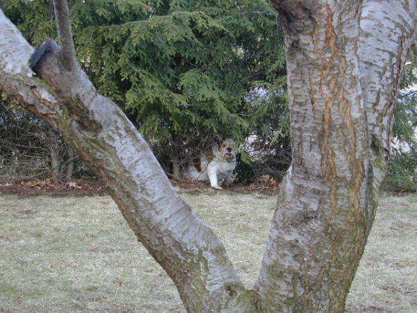 if i hide here, no one will see me