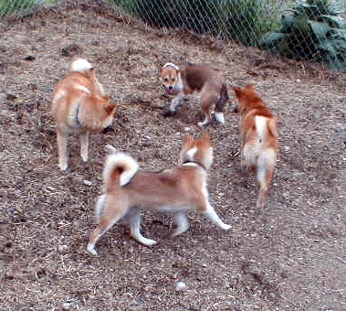 'round and 'round we go...
