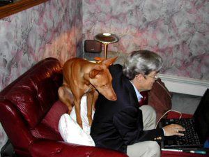 Aha...the secret password!