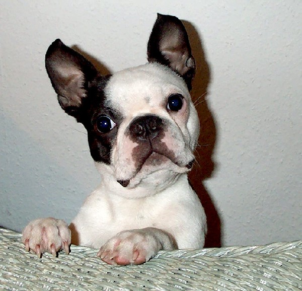 i'm so cute