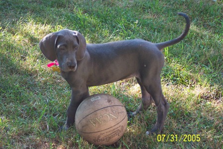 ready for march madness