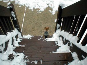 stairway to heaven?