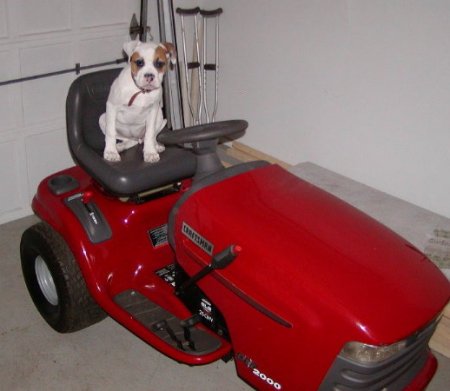 ready for a ride