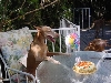 Oh boy, cake!!!