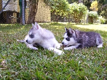 hmm, what could they be thinking?