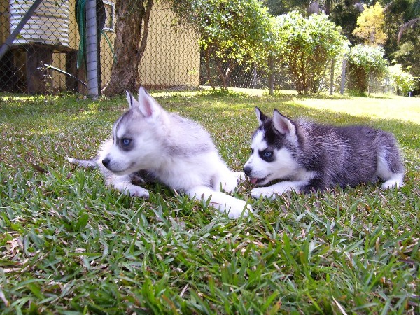 hmm, what could they be thinking?