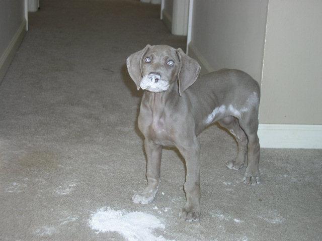 flour power