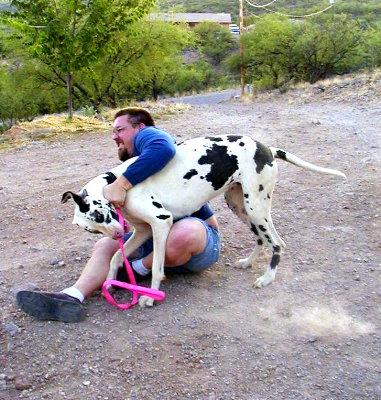 walking the dog