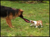playtime!