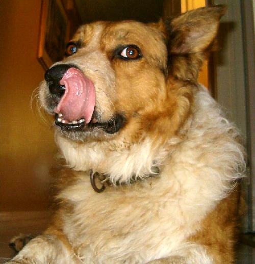 YUM!