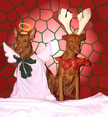 Bah,  HUMBUG!