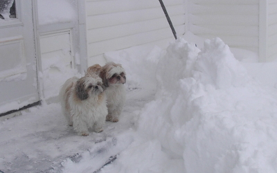 we are NOT impressed!