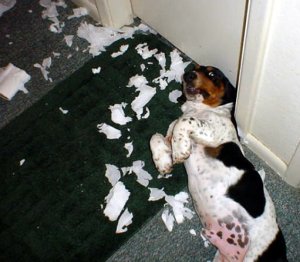 busted
