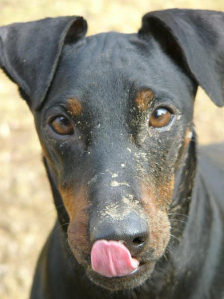 yum, that looks tasty!
