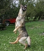 i could have danced all night...