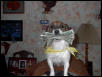 i can help with the taxes this year!