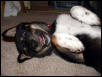 smile...you're on candid camera!