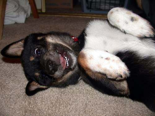 smile...you're on candid camera!