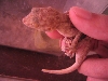 Spike #2