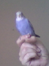 Sky on my finger