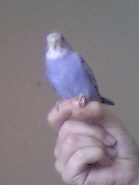 Sky on my finger