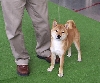 Tsuki 001