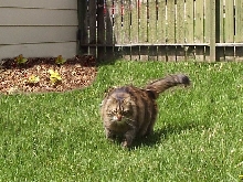 My baby Girl
