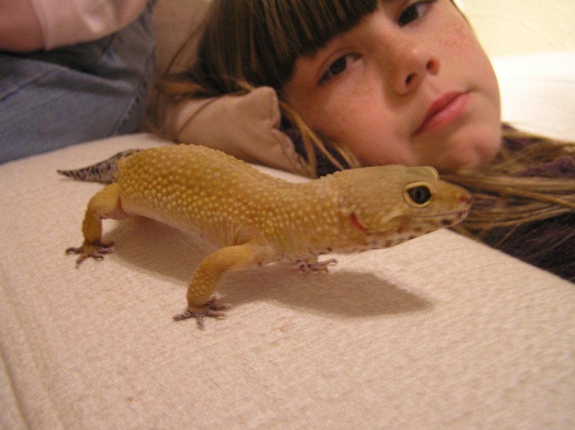 crash and hannah